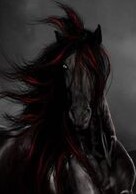 صورة العضو الرمزية