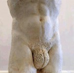 صورة العضو الرمزية