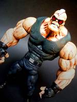 صورة العضو الرمزية