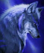 صورة العضو الرمزية