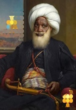 صورة العضو الرمزية