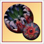 صورة العضو الرمزية